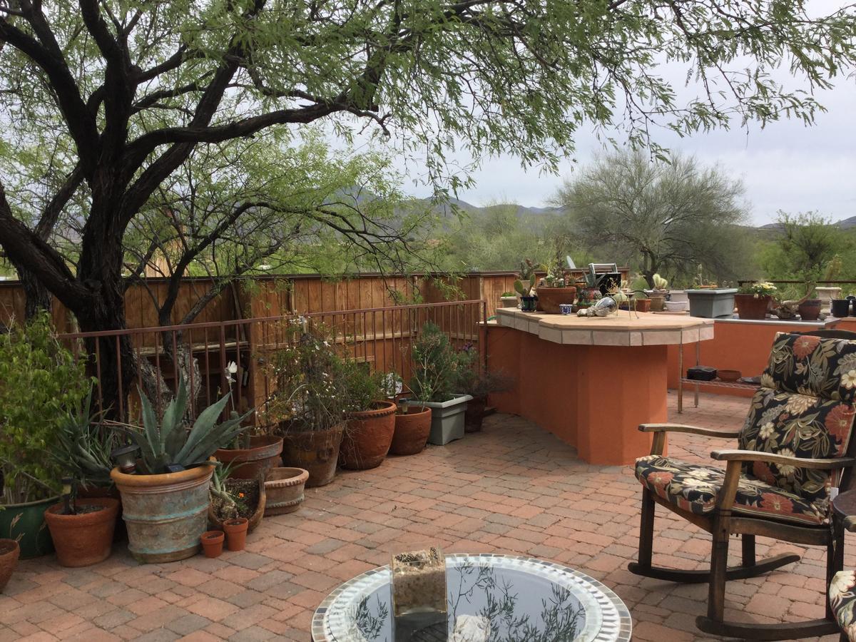 Spur Cross Inn Cave Creek Exterior photo